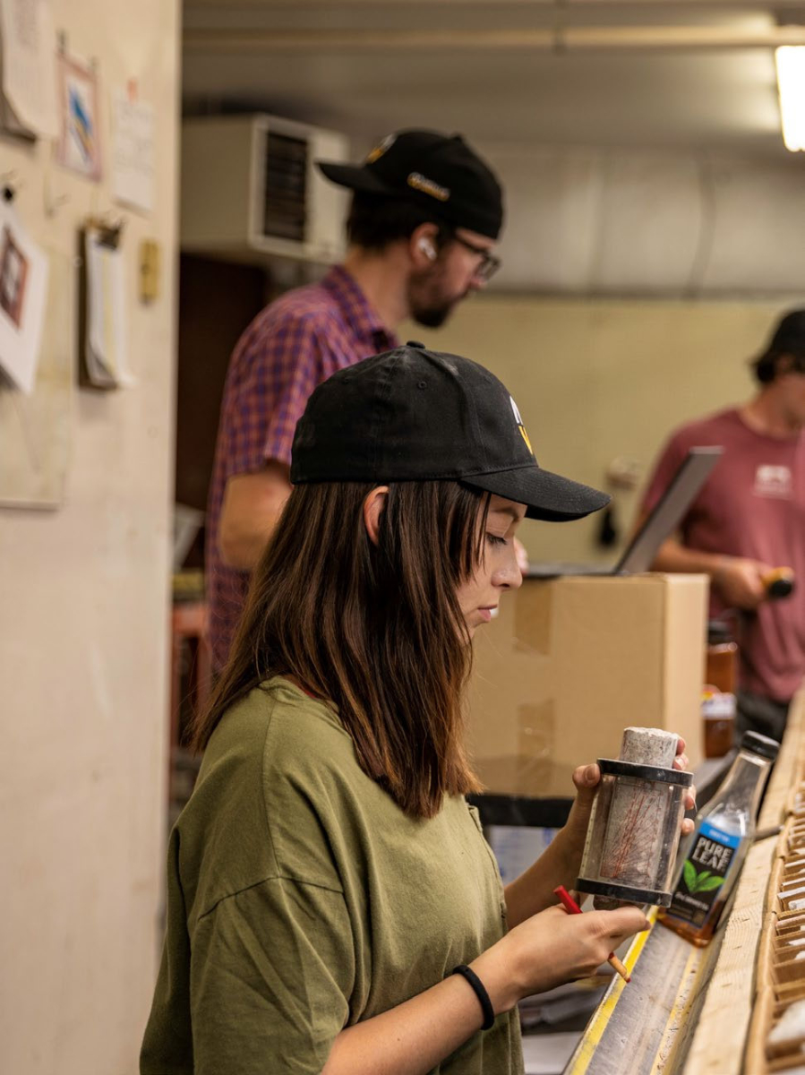 Lzdlvafd Pwgthvr Sio